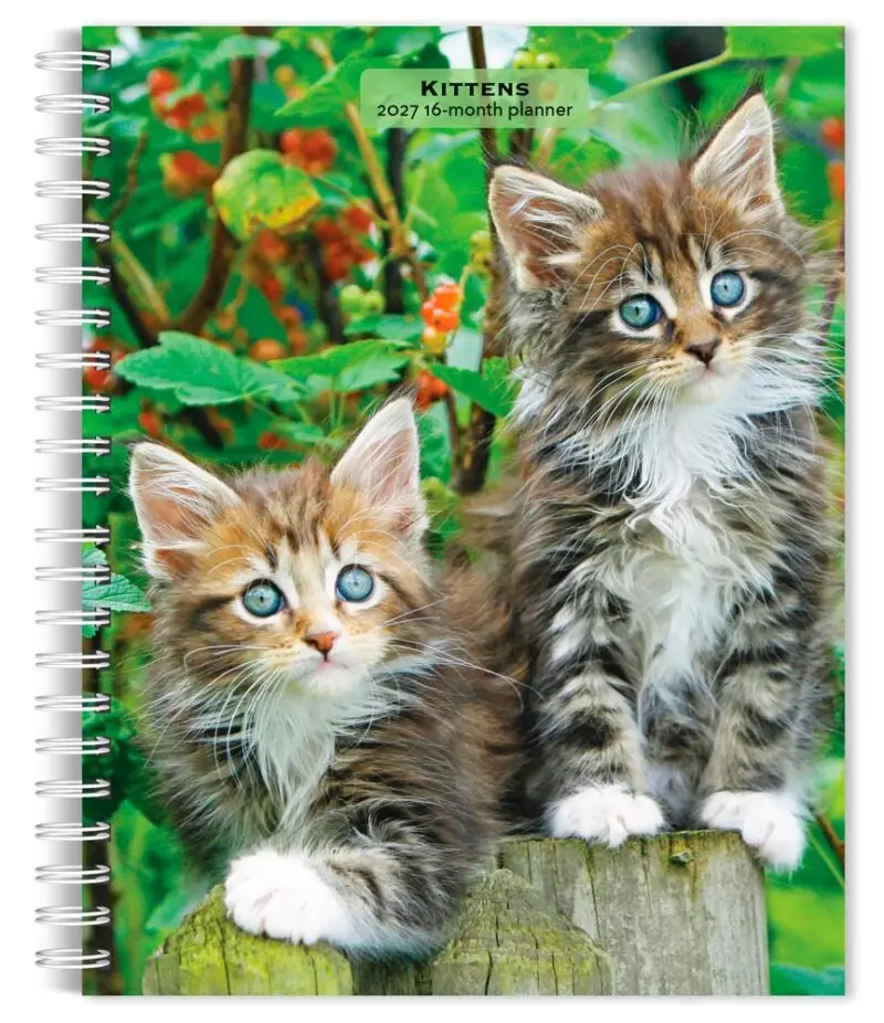 Kittens Engagement Diary 2027