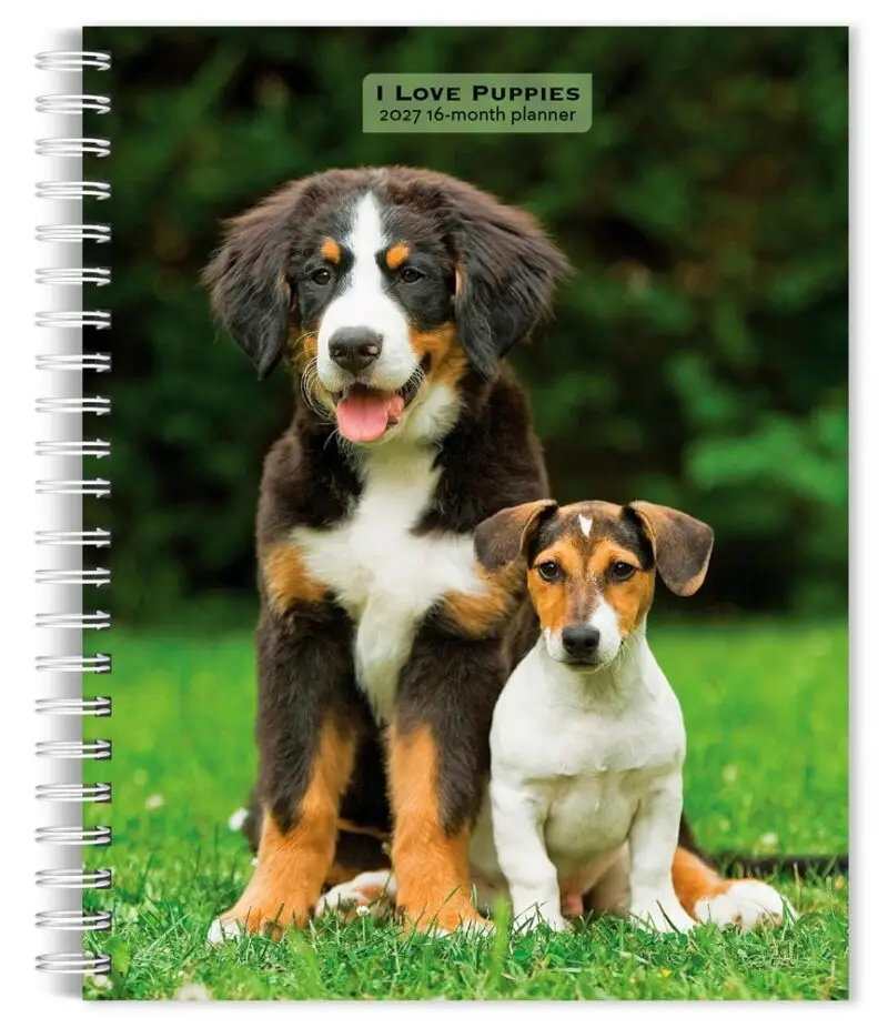 I Love Puppies Engagement Diary 2027